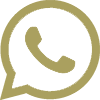 Whatsapp icon